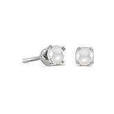 14k White Gold Pearl Stud Earrings