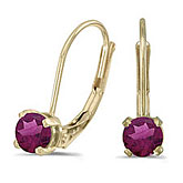 14k Yellow Gold Round Rhodolite Garnet Lever-back Earrings