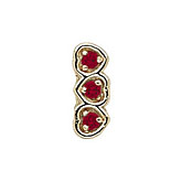 14 Karat Gold Ruby Slide